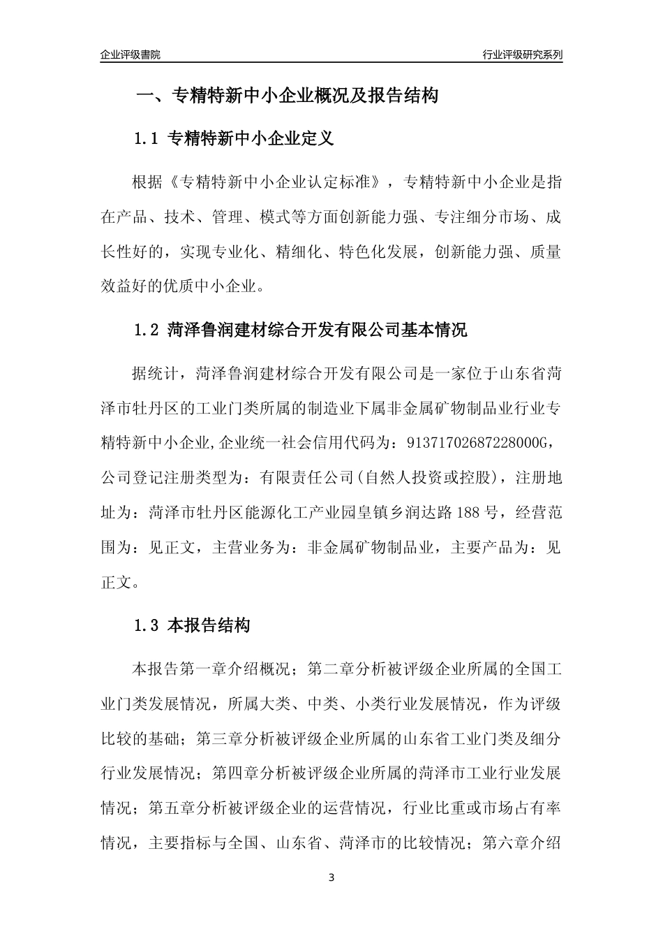 [专精特新]菏泽鲁润建材综合开发有限公司行业竞争力评级分析报告(2023版)_第3页