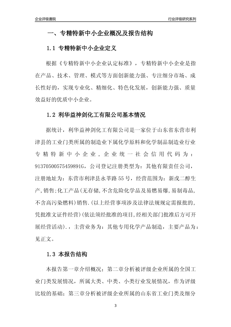 [专精特新]利华益神剑化工有限公司行业竞争力评级分析报告(2023版)_第3页