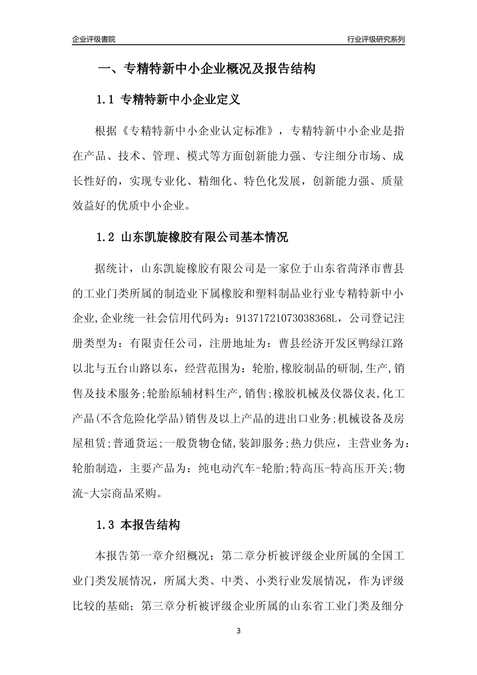 [专精特新]山东凯旋橡胶有限公司行业竞争力评级分析报告(2023版)_第3页
