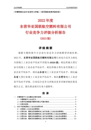 [专精特新]东营华亚国联航空燃料有限公司行业竞争力评级分析报告(2023版)