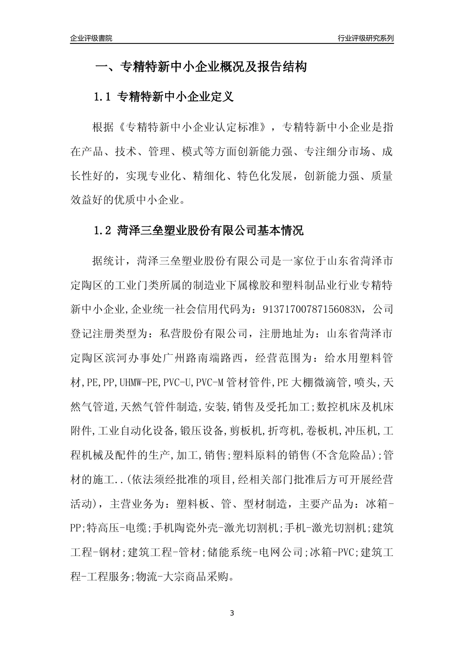 [专精特新]菏泽三垒塑业股份有限公司行业竞争力评级分析报告(2023版)_第3页