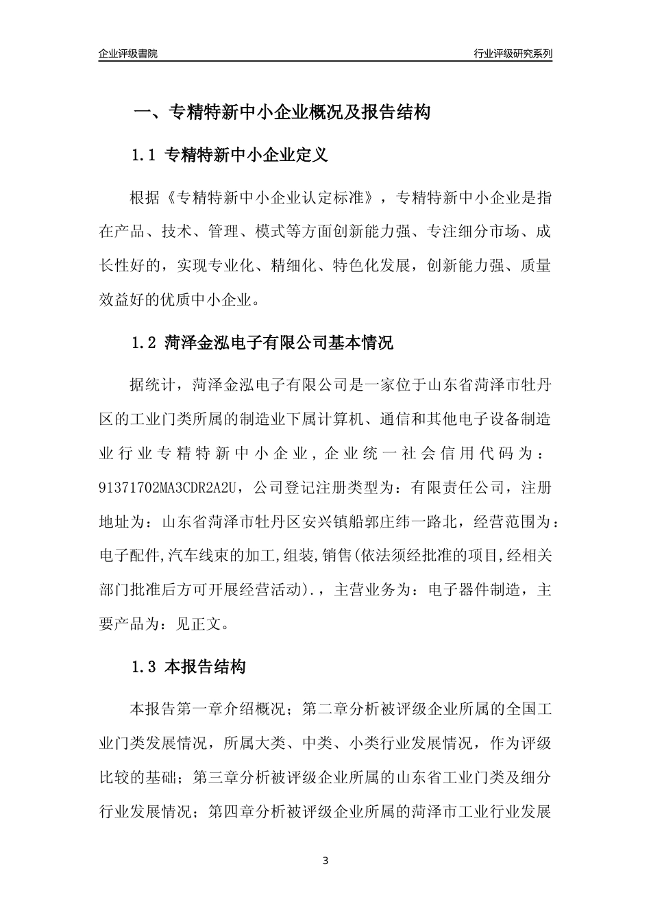 [专精特新]菏泽金泓电子有限公司行业竞争力评级分析报告(2023版)_第3页