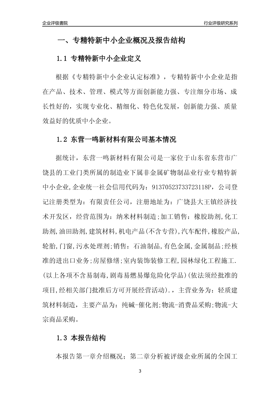 [专精特新]东营一鸣新材料有限公司行业竞争力评级分析报告(2023版)_第3页