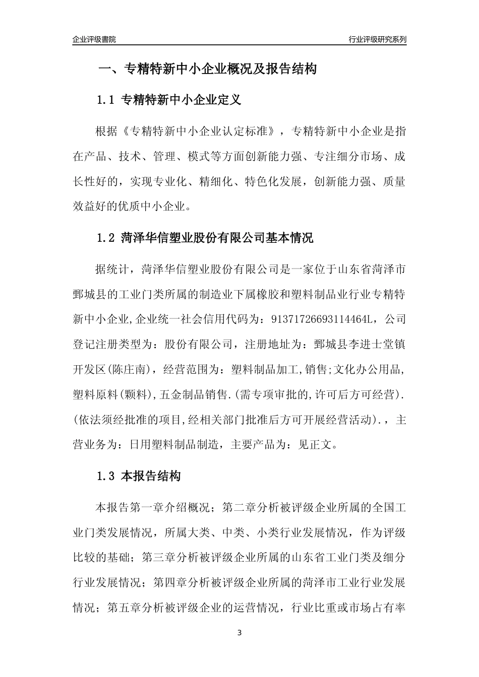 [专精特新]菏泽华信塑业股份有限公司行业竞争力评级分析报告(2023版)_第3页