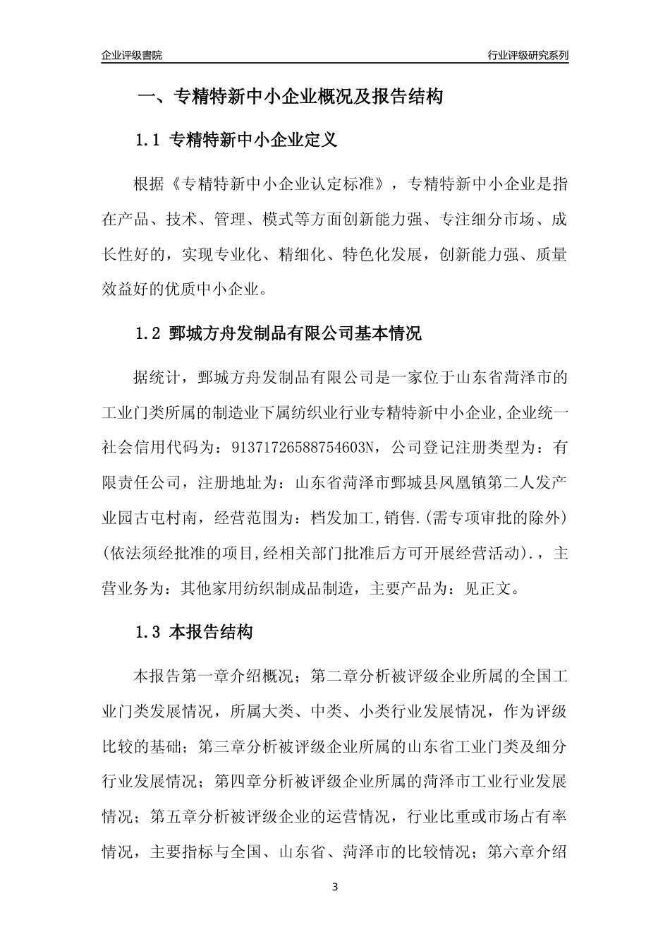 [专精特新]鄄城方舟发制品有限公司行业竞争力评级分析报告(2023版)_第3页