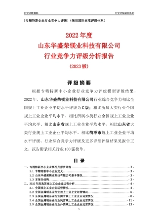 [专精特新]山东华盛荣镁业科技有限公司行业竞争力评级分析报告(2023版)