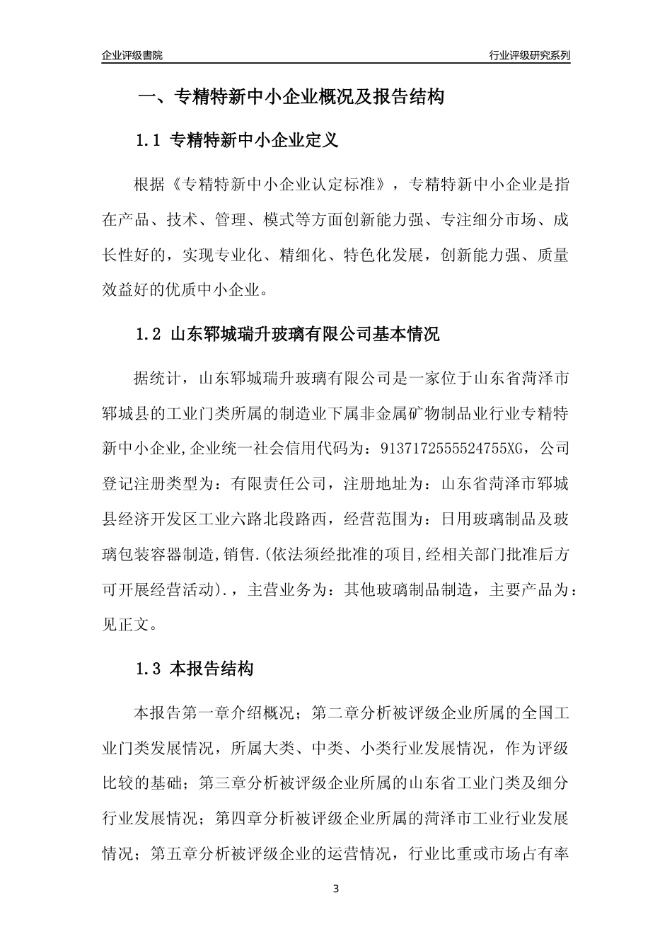 [专精特新]山东郓城瑞升玻璃有限公司行业竞争力评级分析报告(2023版)_第3页