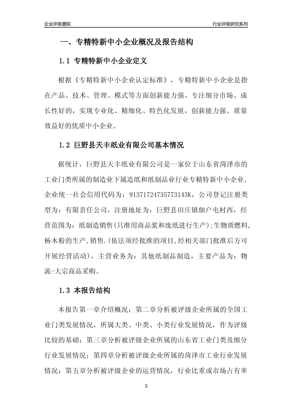 [专精特新]巨野县天丰纸业有限公司行业竞争力评级分析报告(2023版)_第3页