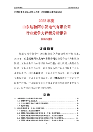[专精特新]山东达驰阿尔发电气有限公司行业竞争力评级分析报告(2023版)