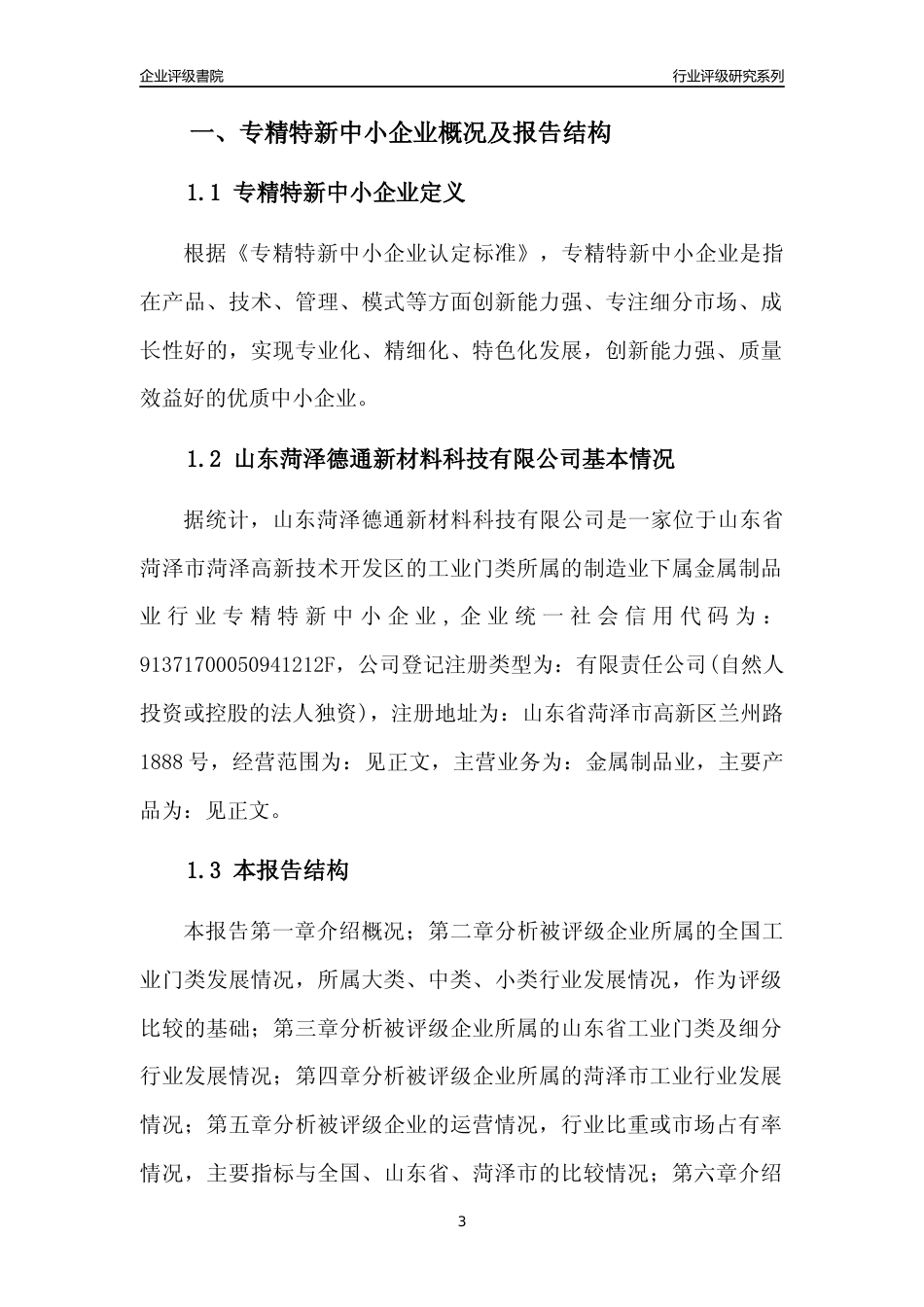 [专精特新]山东菏泽德通新材料科技有限公司行业竞争力评级分析报告(2023版)_第3页