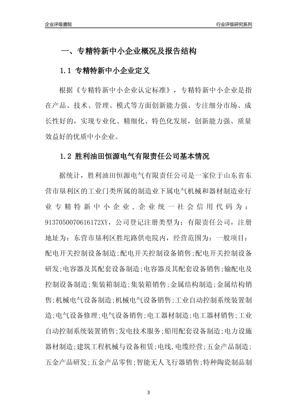 [专精特新]胜利油田恒源电气有限责任公司行业竞争力评级分析报告(2023版)_第3页