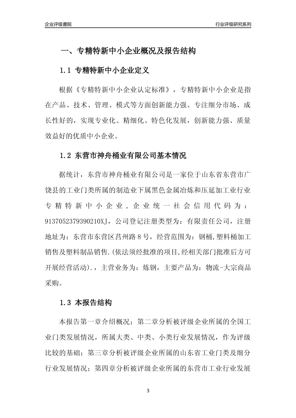 [专精特新]东营市神舟桶业有限公司行业竞争力评级分析报告(2023版)_第3页