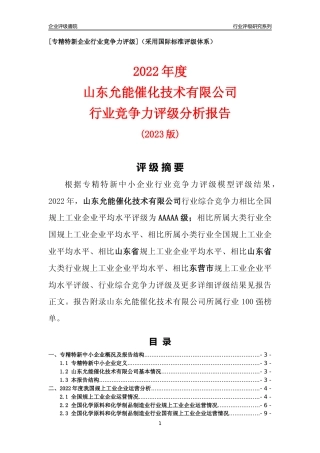 [专精特新]山东允能催化技术有限公司行业竞争力评级分析报告(2023版)