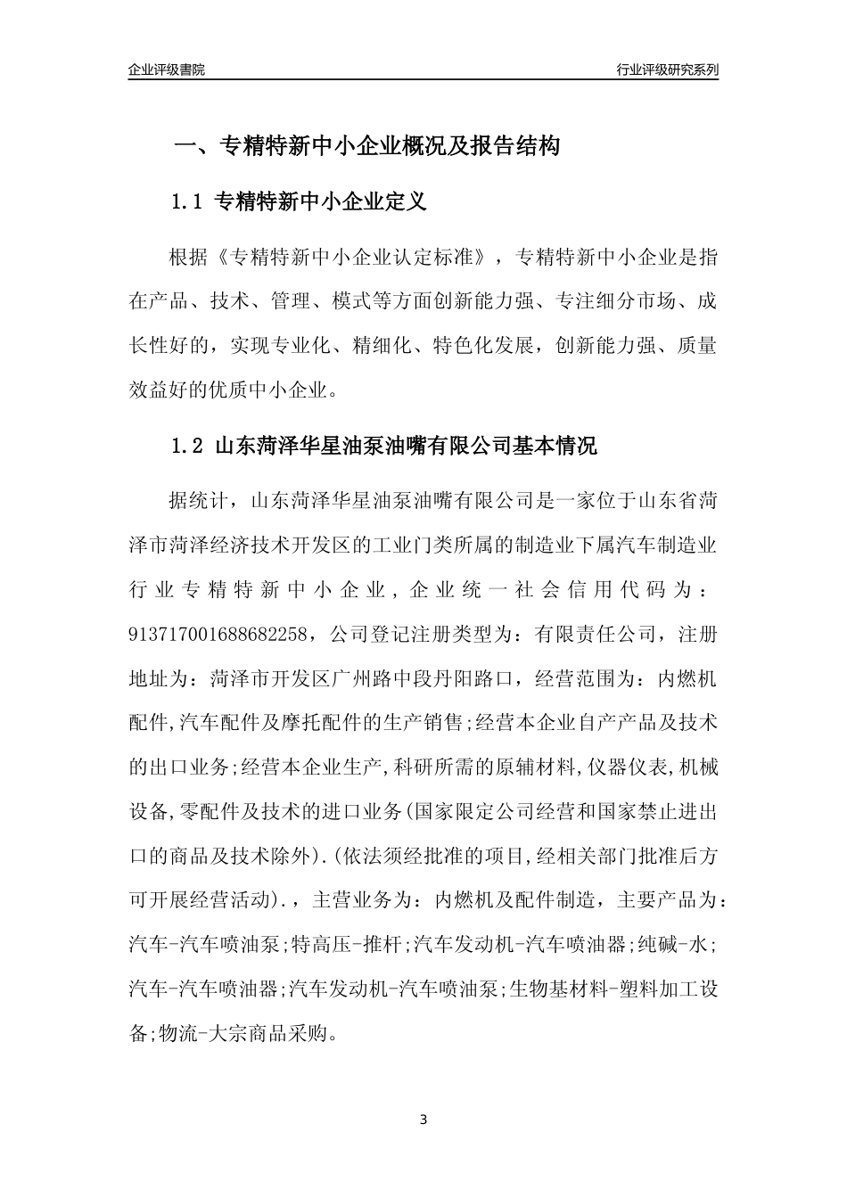 [专精特新]山东菏泽华星油泵油嘴有限公司行业竞争力评级分析报告(2023版)_第3页