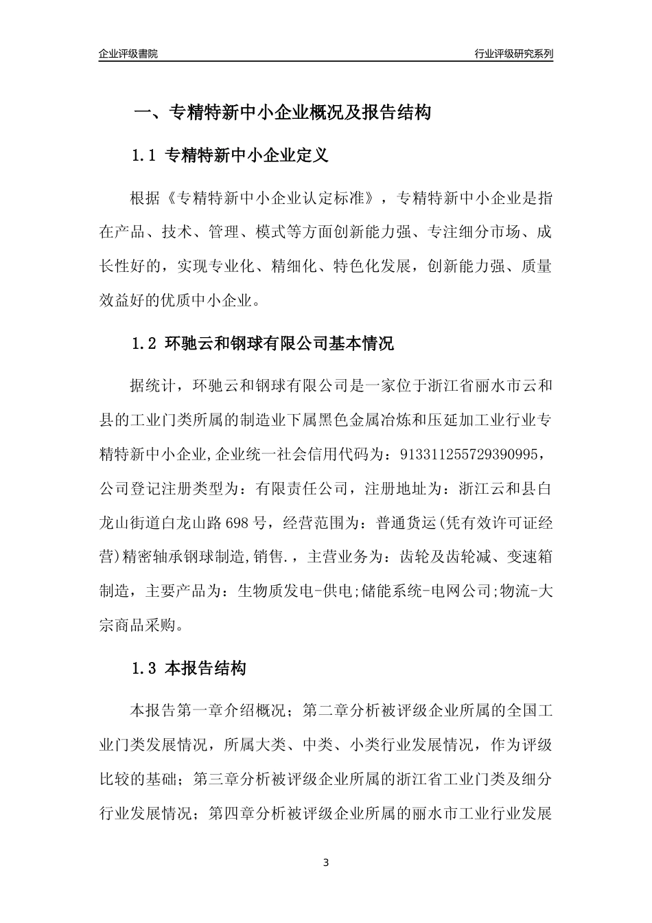 [专精特新]环驰云和钢球有限公司行业竞争力评级分析报告(2023版)_第3页