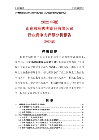 [专精特新]山东成润肉类食品有限公司行业竞争力评级分析报告(2023版)