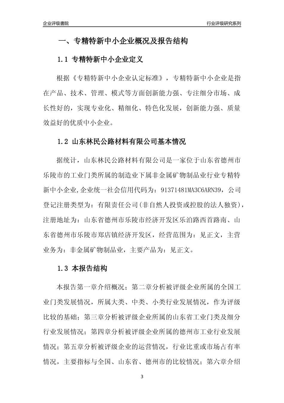 [专精特新]山东林民公路材料有限公司行业竞争力评级分析报告(2023版)_第3页