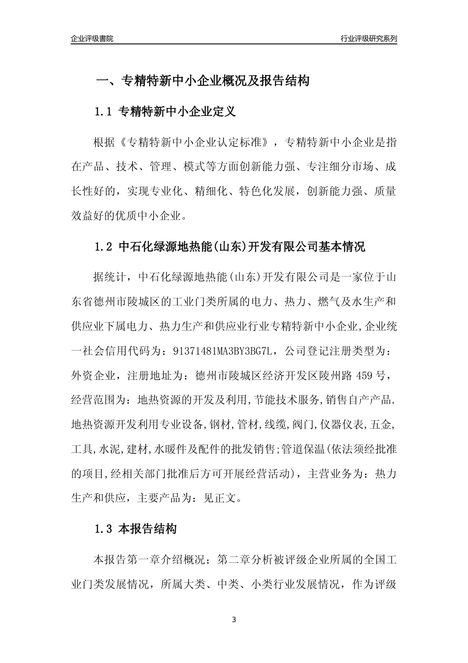 [专精特新]中石化绿源地热能(山东)开发有限公司行业竞争力评级分析报告(2023版)_第3页