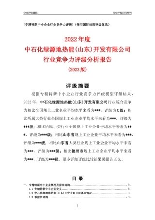 [专精特新]中石化绿源地热能(山东)开发有限公司行业竞争力评级分析报告(2023版)