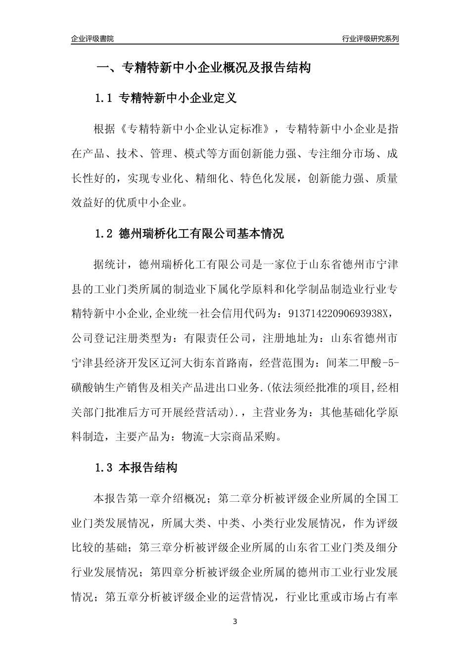 [专精特新]德州瑞桥化工有限公司行业竞争力评级分析报告(2023版)_第3页