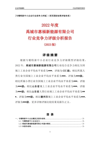 [专精特新]禹城市惠福新能源有限公司行业竞争力评级分析报告(2023版)