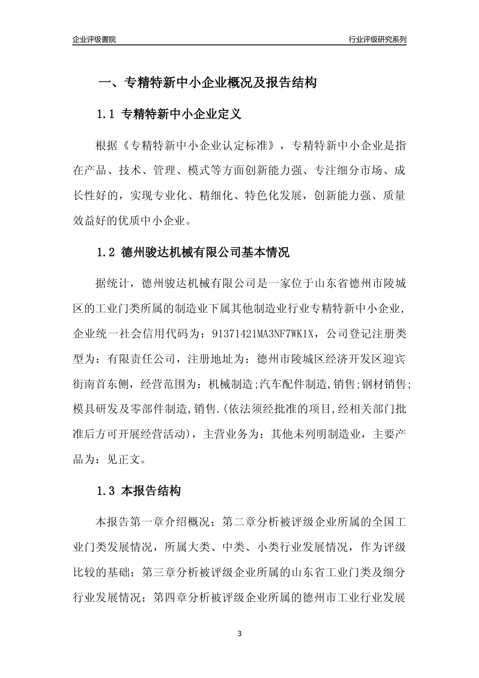 [专精特新]德州骏达机械有限公司行业竞争力评级分析报告(2023版)_第3页