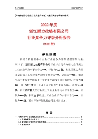 [专精特新]浙江耐力拉链有限公司行业竞争力评级分析报告(2023版)