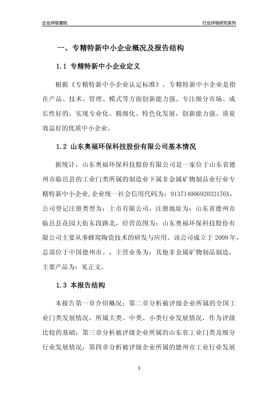 [专精特新]山东奥福环保科技股份有限公司行业竞争力评级分析报告(2023版)_第3页