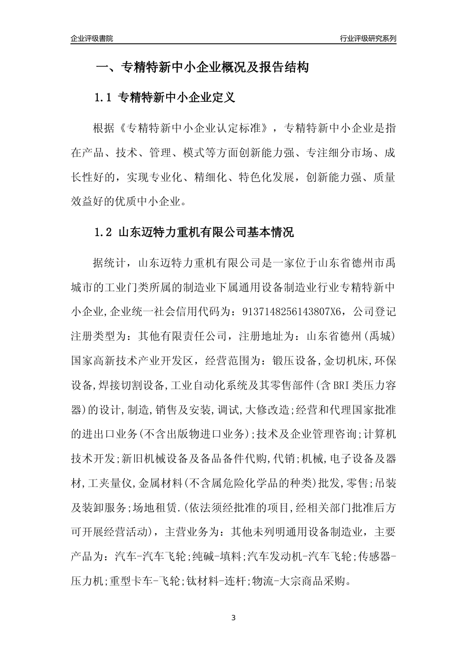 [专精特新]山东迈特力重机有限公司行业竞争力评级分析报告(2023版)_第3页