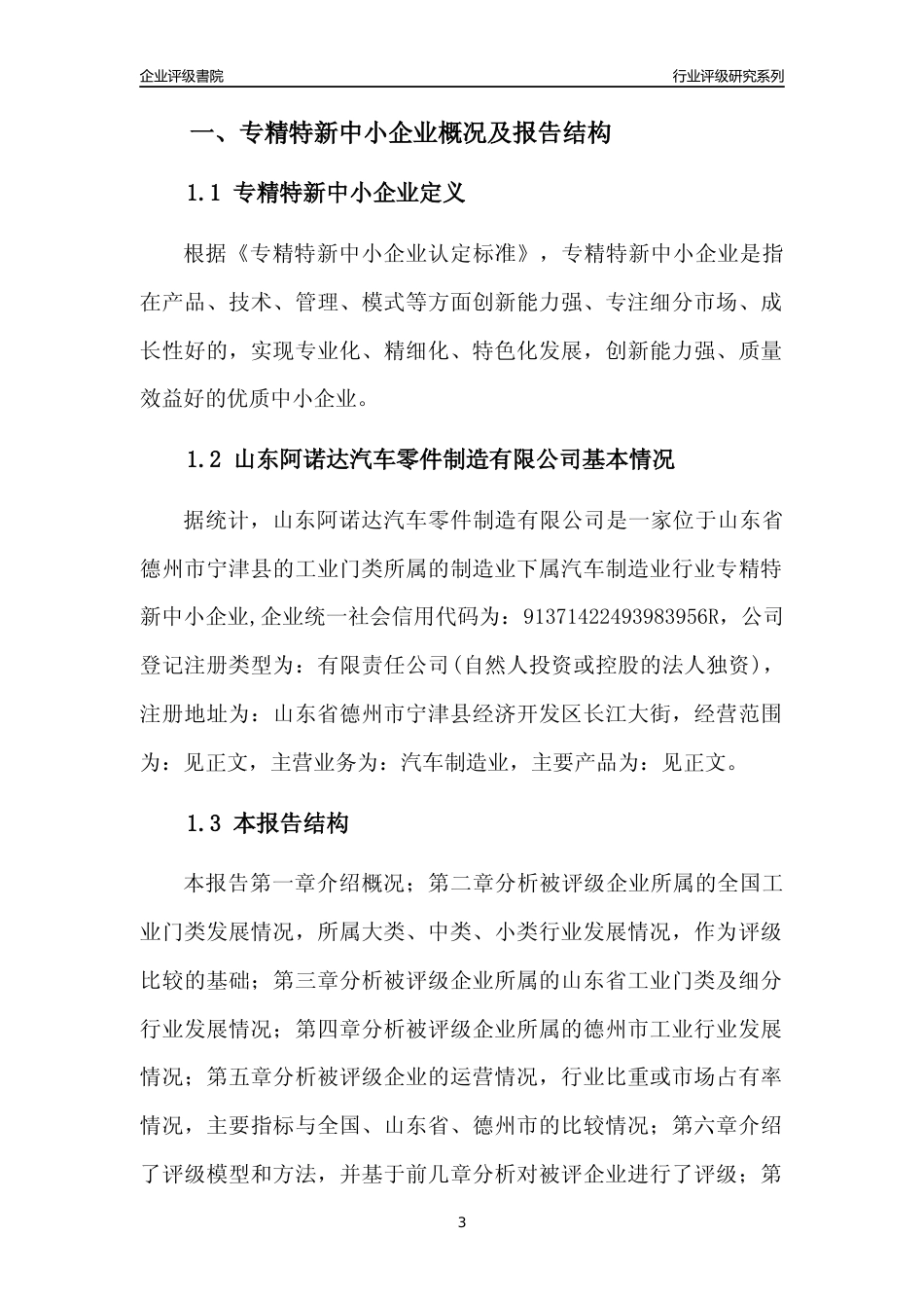 [专精特新]山东阿诺达汽车零件制造有限公司行业竞争力评级分析报告(2023版)_第3页