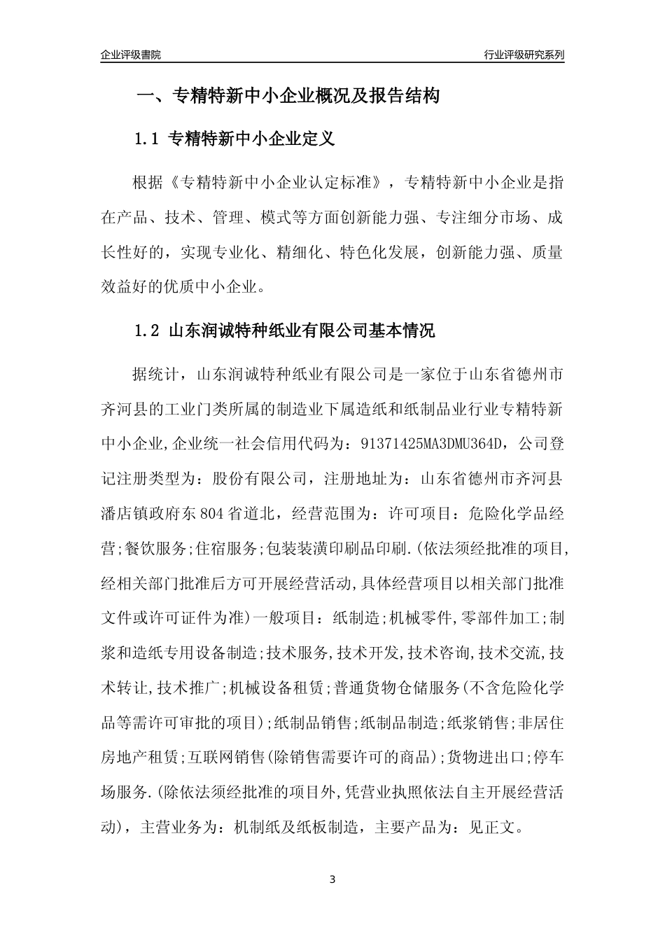 [专精特新]山东润诚特种纸业有限公司行业竞争力评级分析报告(2023版)_第3页