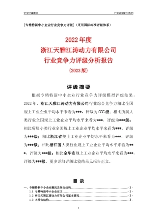 [专精特新]浙江天雅江涛动力有限公司行业竞争力评级分析报告(2023版)