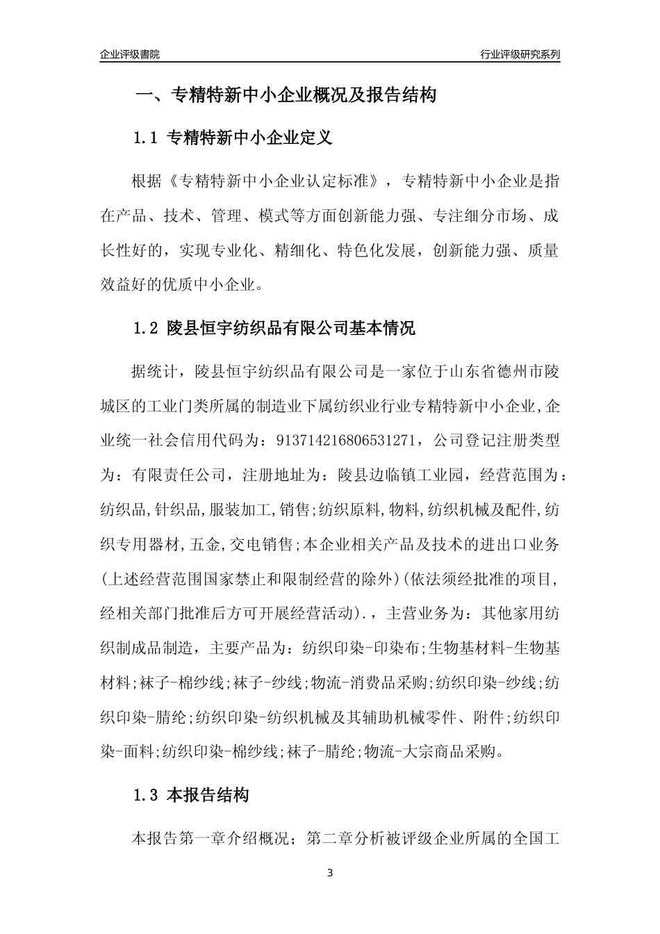 [专精特新]陵县恒宇纺织品有限公司行业竞争力评级分析报告(2023版)_第3页