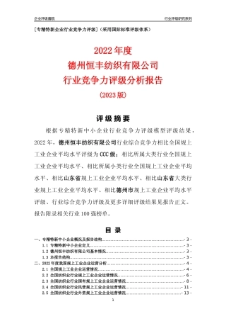 [专精特新]德州恒丰纺织有限公司行业竞争力评级分析报告(2023版)