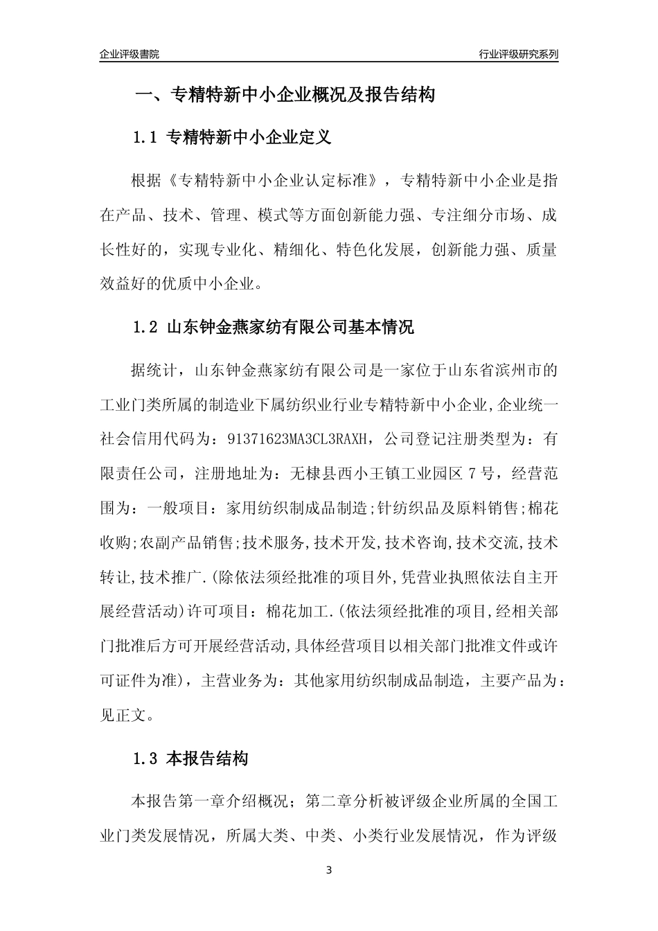 [专精特新]山东钟金燕家纺有限公司行业竞争力评级分析报告(2023版)_第3页