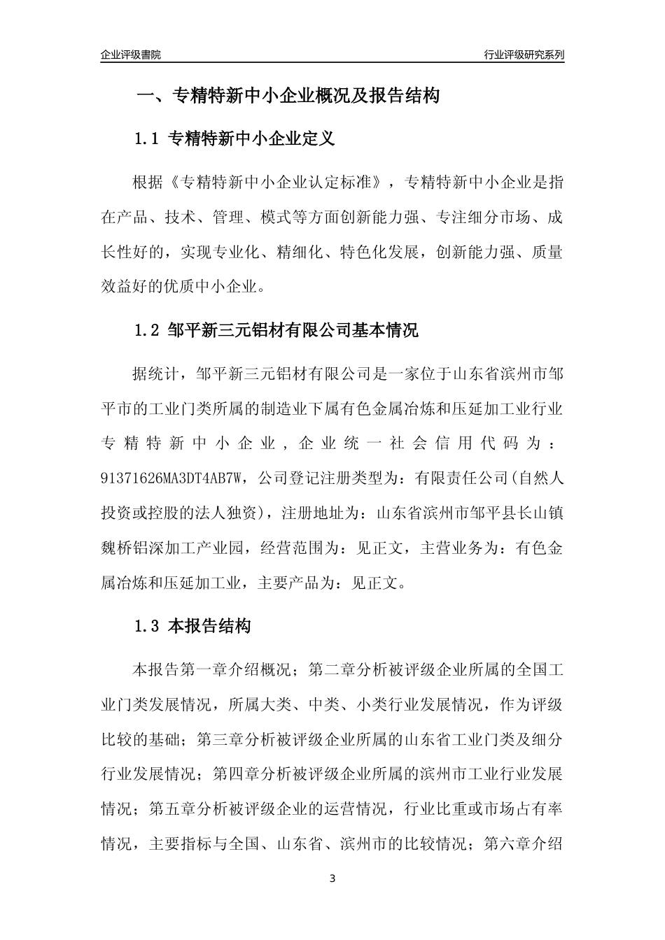 [专精特新]邹平新三元铝材有限公司行业竞争力评级分析报告(2023版)_第3页