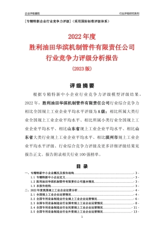 [专精特新]胜利油田华滨机制管件有限责任公司行业竞争力评级分析报告(2023版)