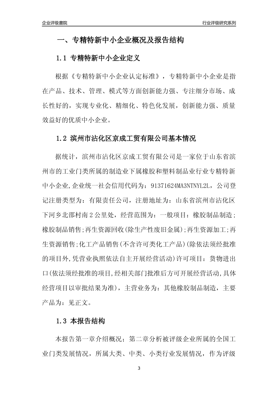 [专精特新]滨州市沾化区京成工贸有限公司行业竞争力评级分析报告(2023版)_第3页