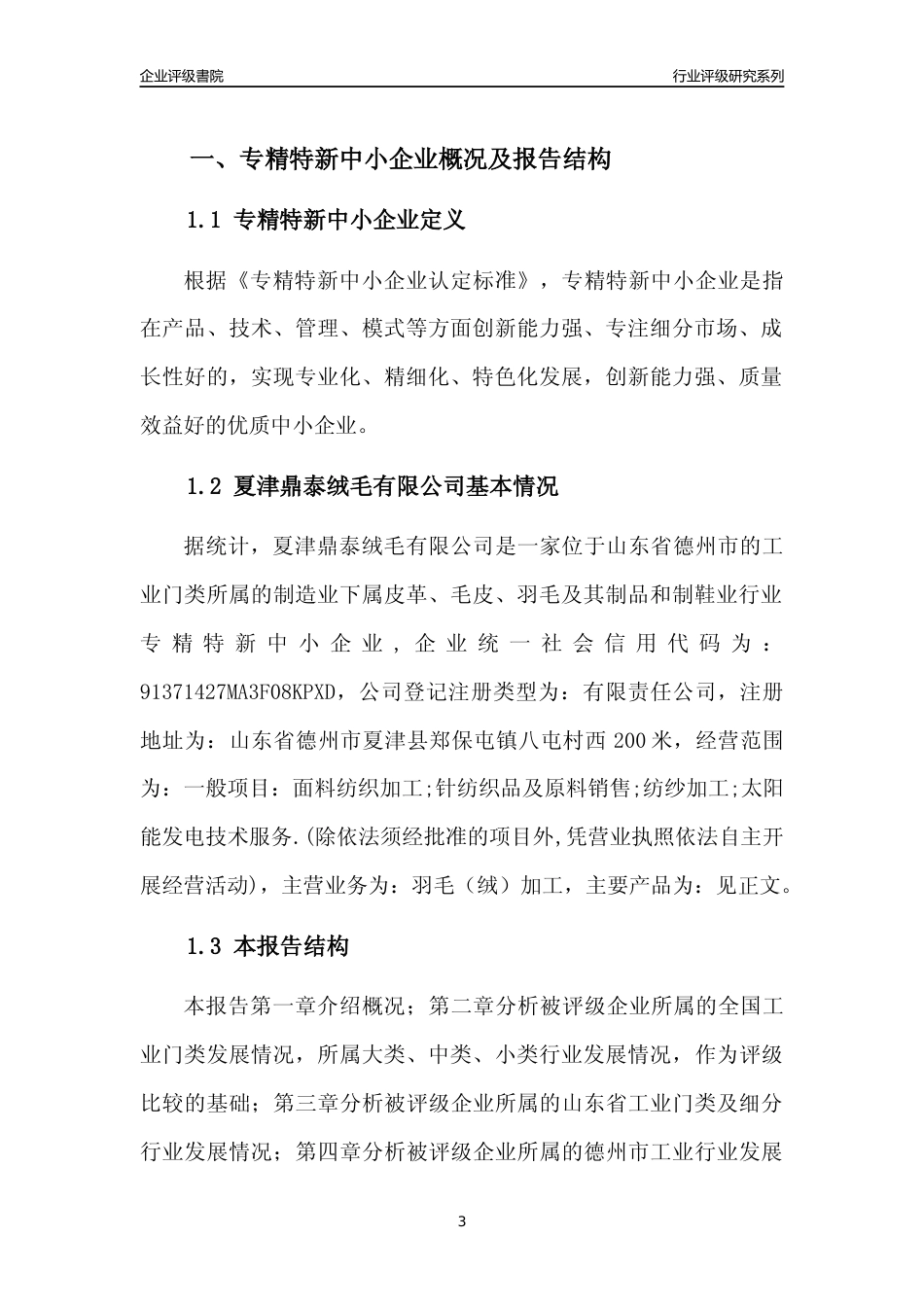 [专精特新]夏津鼎泰绒毛有限公司行业竞争力评级分析报告(2023版)_第3页