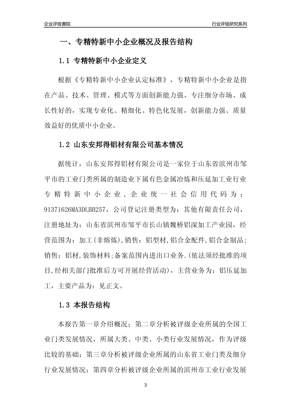 [专精特新]山东安邦得铝材有限公司行业竞争力评级分析报告(2023版)_第3页