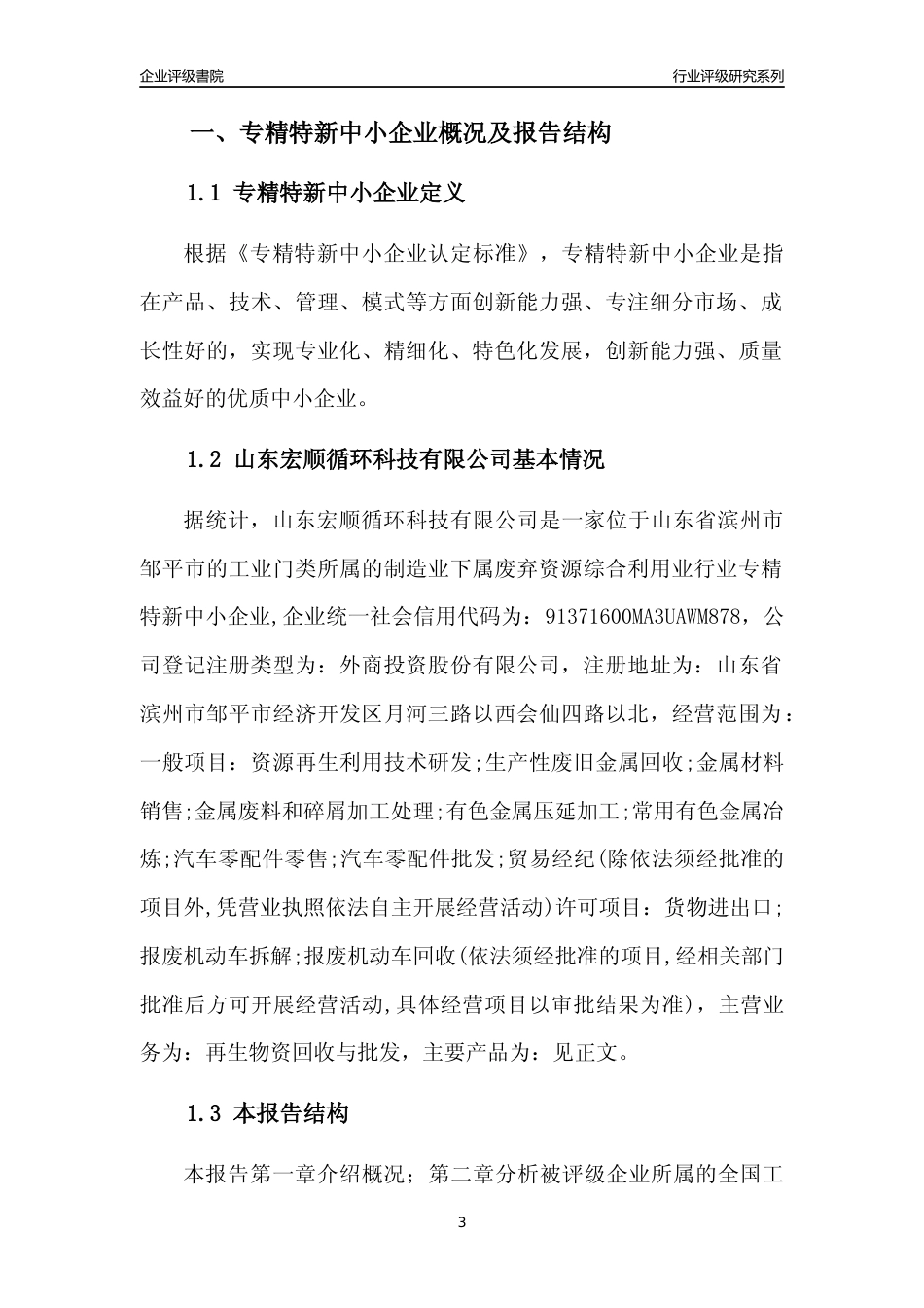 [专精特新]山东宏顺循环科技有限公司行业竞争力评级分析报告(2023版)_第3页