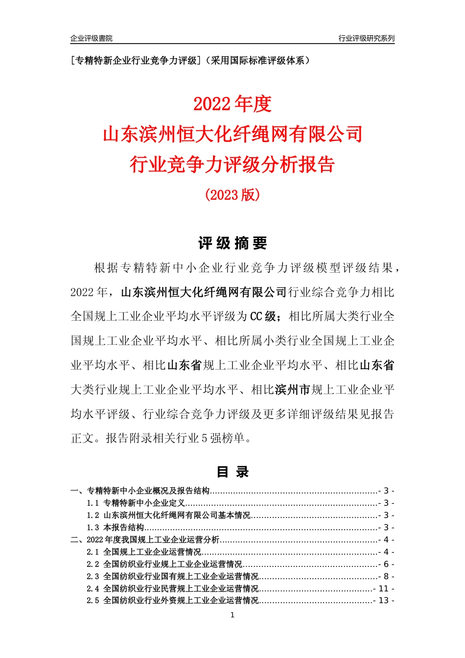 [专精特新]山东滨州恒大化纤绳网有限公司行业竞争力评级分析报告(2023版)_第1页