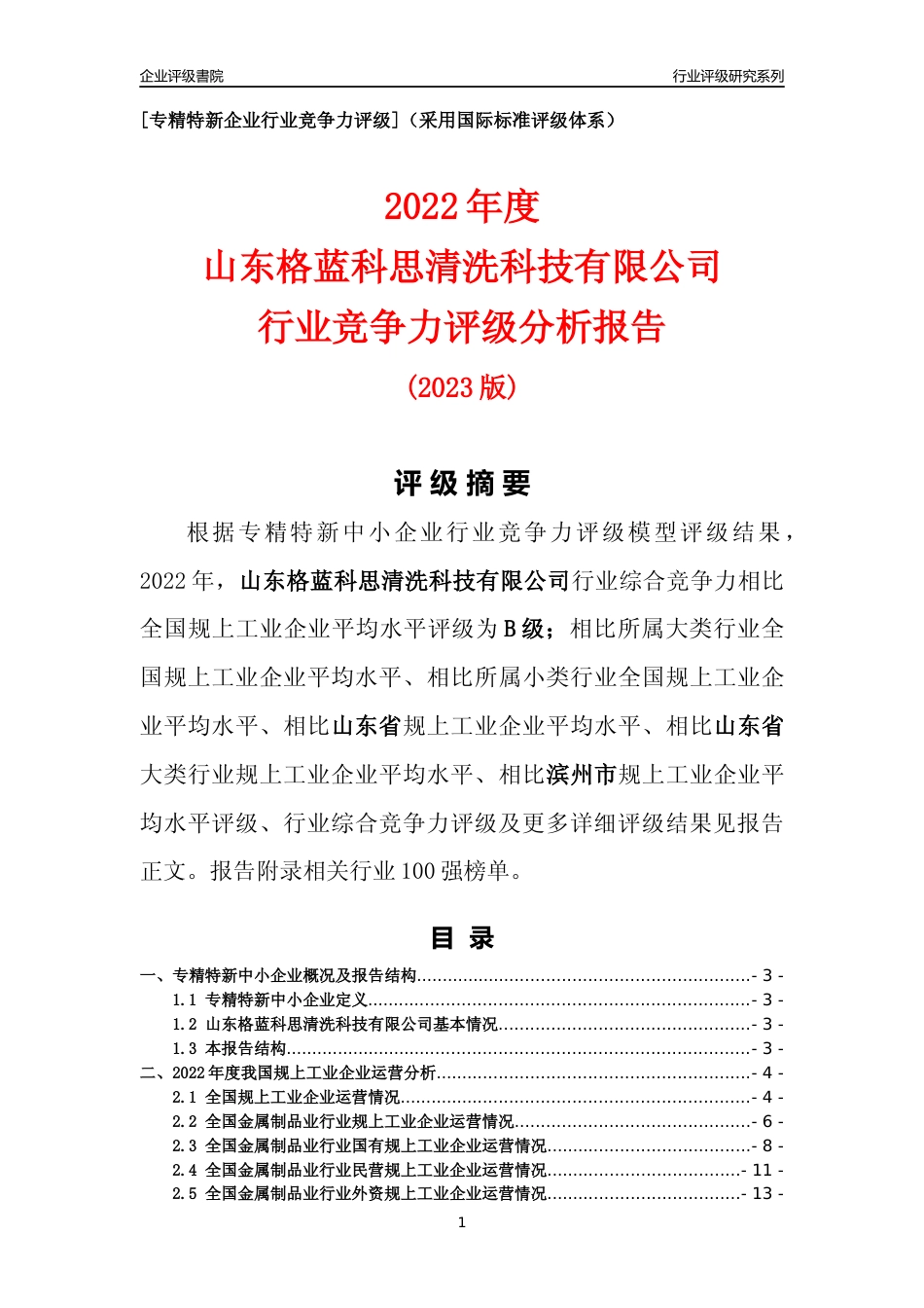 [专精特新]山东格蓝科思清洗科技有限公司行业竞争力评级分析报告(2023版)_第1页