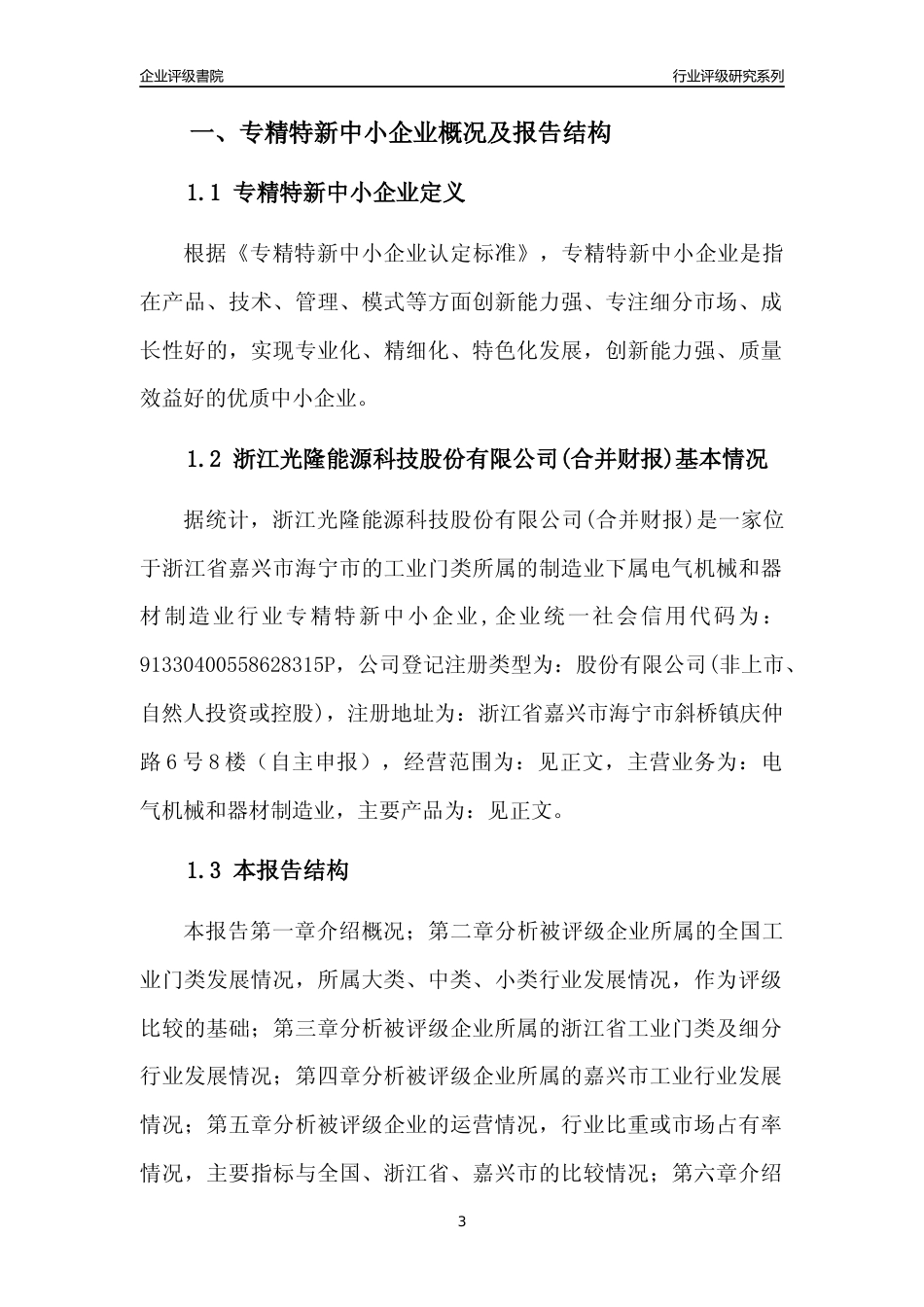 [专精特新]浙江光隆能源科技股份有限公司(合并财报)行业竞争力评级分析报告(2023版)_第3页