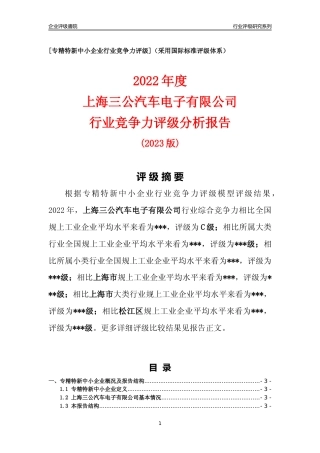[专精特新]上海三公汽车电子有限公司行业竞争力评级分析报告(2023版)