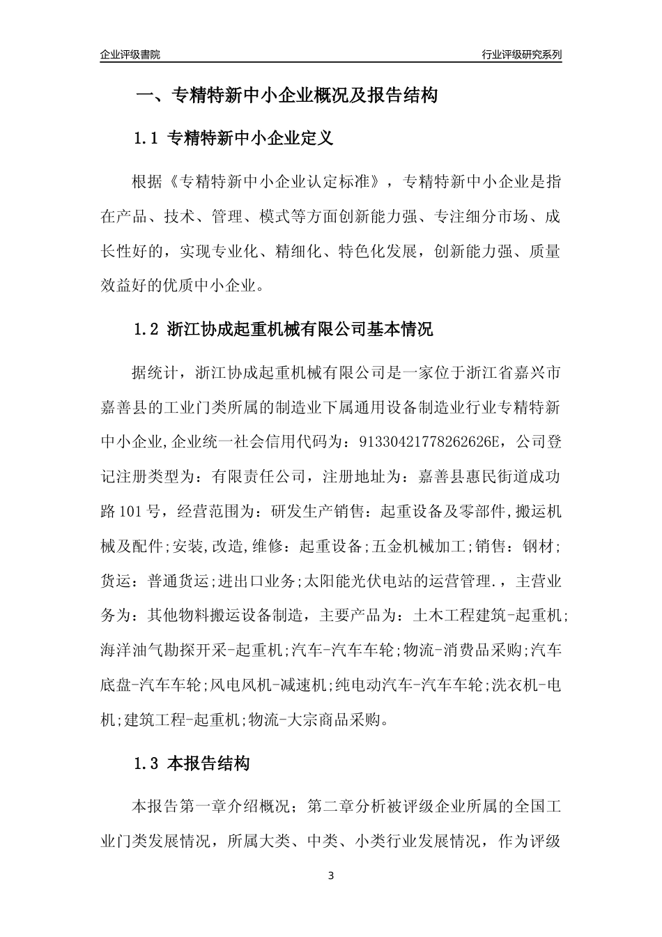 [专精特新]浙江协成起重机械有限公司行业竞争力评级分析报告(2023版)_第3页