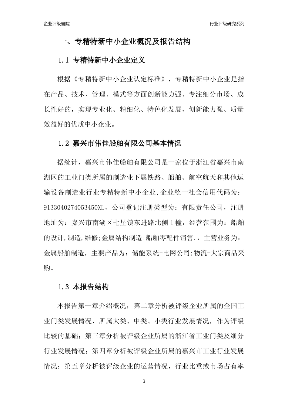 [专精特新]嘉兴市伟佳船舶有限公司行业竞争力评级分析报告(2023版)_第3页