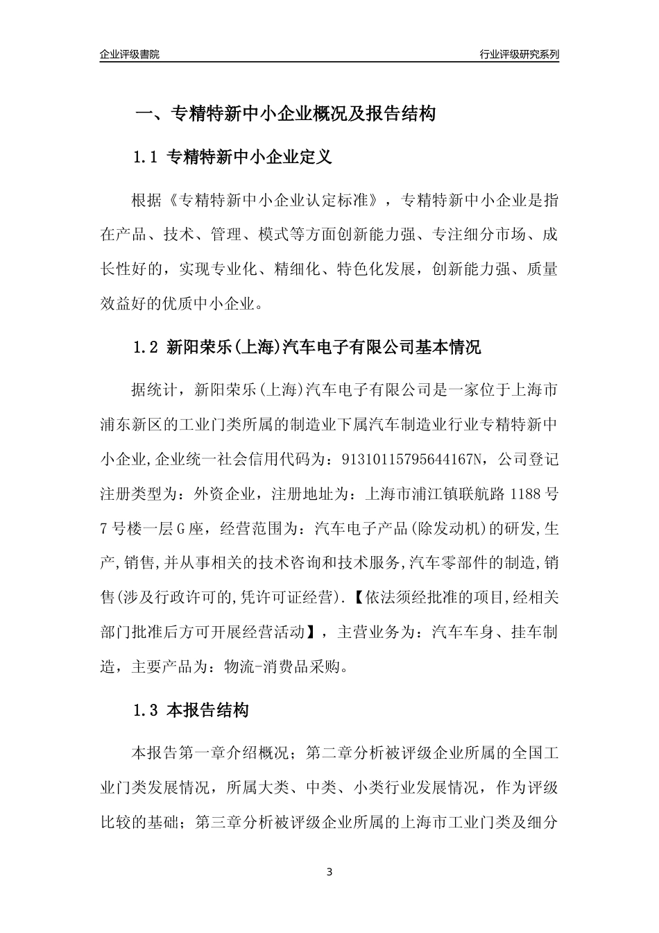 [专精特新]新阳荣乐(上海)汽车电子有限公司行业竞争力评级分析报告(2023版)_第3页