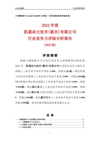 [专精特新]凯晟动力技术(嘉兴)有限公司行业竞争力评级分析报告(2023版)