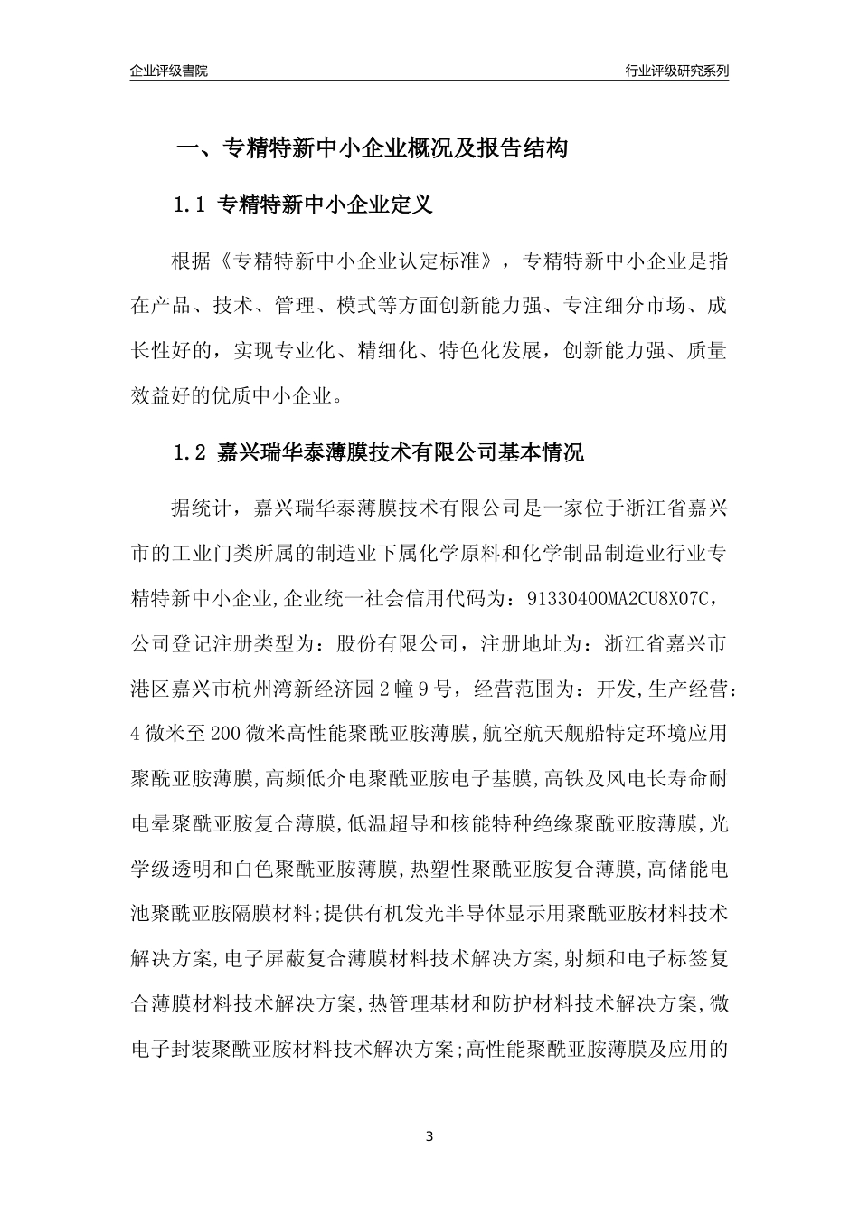 [专精特新]嘉兴瑞华泰薄膜技术有限公司行业竞争力评级分析报告(2023版)_第3页